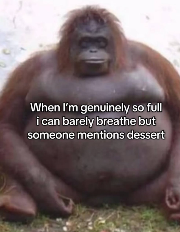 When I'm genuinely so full i can barely breathe but someone mentions dessert