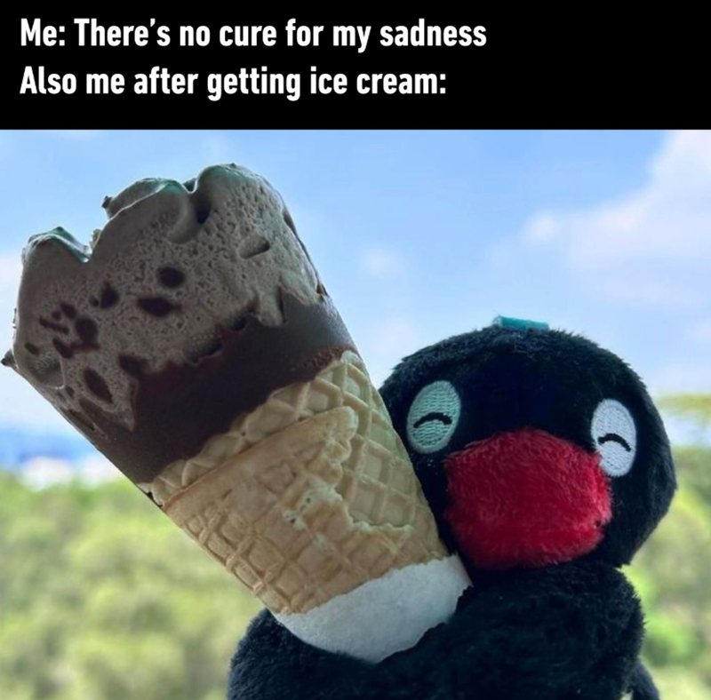 Me: There's no cure for my sadness Also me after getting ice cream: