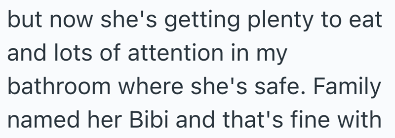but now she's getting plenty to eat and lots of attention in my bathroom where she's safe. Family named her Bibi and that's fine with