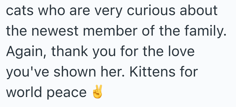 cats who are very curious about the newest member of the family. Again, thank you for the love you've shown her. Kittens for world peace