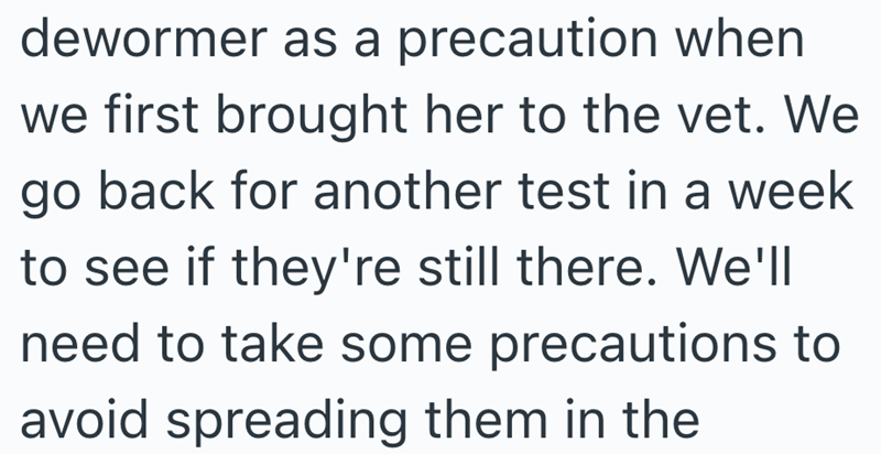 dewormer as a precaution when we first brought her to the vet. We go back for another test in a week to see if they're still there. We'll need to take some precautions to avoid spreading them in the