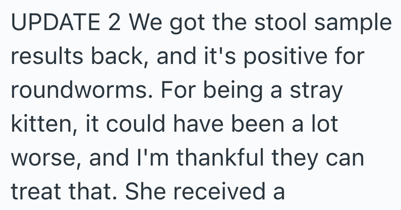 UPDATE 2 We got the stool sample results back, and it's positive for roundworms. For being a stray kitten, it could have been a lot worse, and I'm thankful they can treat that. She received a