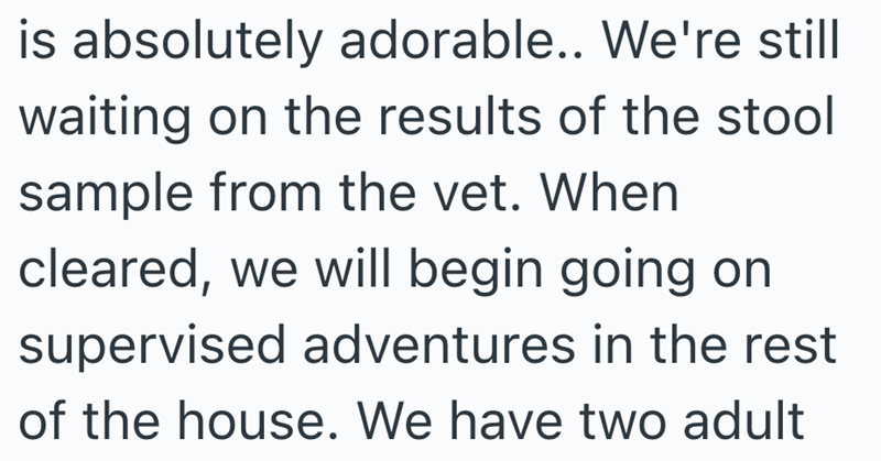 is absolutely adorable.. We're still waiting on the results of the stool sample from the vet. When cleared, we will begin going on supervised adventures in the rest of the house. We have two adult