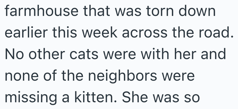 farmhouse that was torn down earlier this week across the road. No other cats were with her and none of the neighbors were missing a kitten. She was so