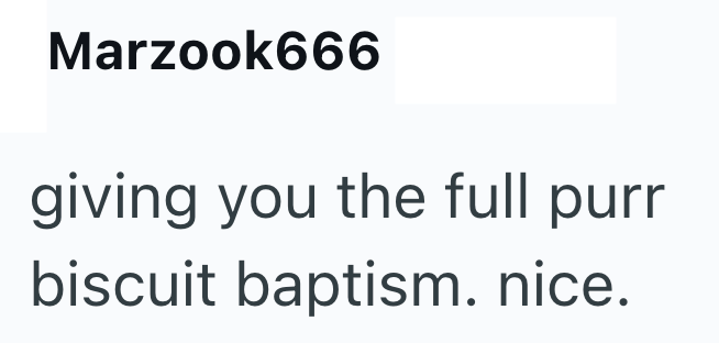 Marzook666 giving you the full purr biscuit baptism. nice.