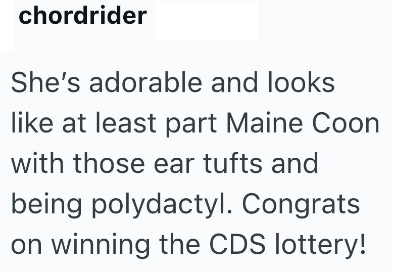chordrider She's adorable and looks like at least part Maine Coon with those ear tufts and being polydactyl. Congrats on winning the CDS lottery!
