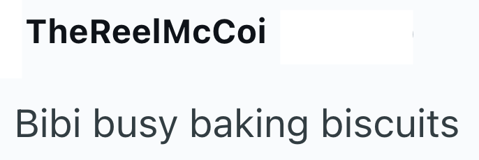 TheReelMcCoi Bibi busy baking biscuits