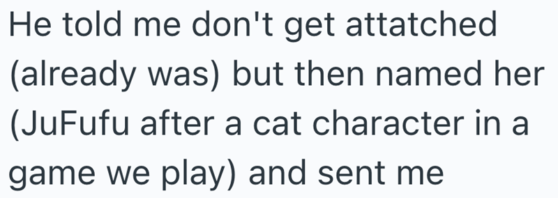 He told me don't get attatched (already was) but then named her (JuFufu after a cat character in a game we play) and sent me