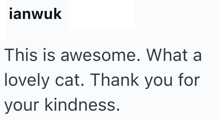 ianwuk This is awesome. What a lovely cat. Thank you for your kindness.