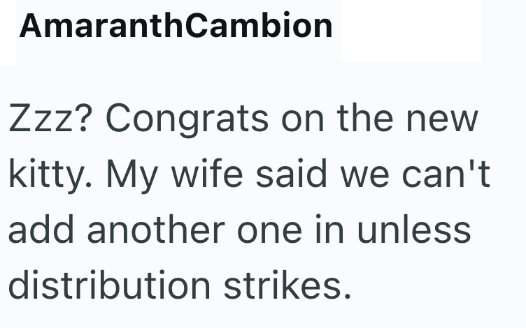 AmaranthCambion Zzz? Congrats on the new kitty. My wife said we can't add another one in unless distribution strikes.