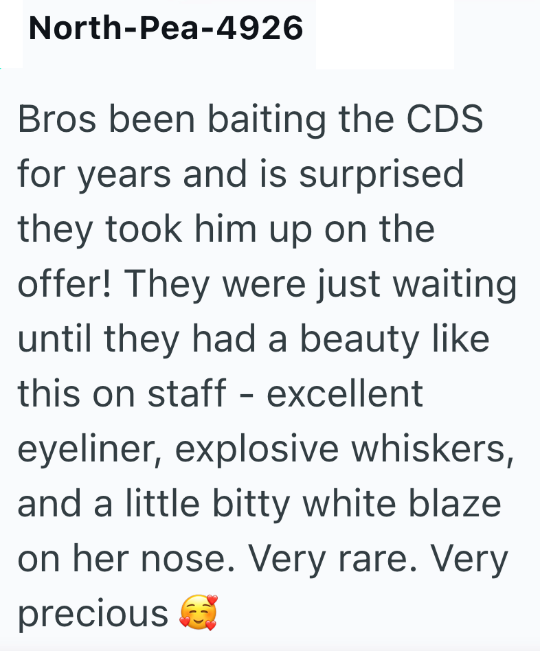 North-Pea-4926 Bros been baiting the CDS for years and is surprised they took him up on the offer! They were just waiting until they had a beauty like this on staff - excellent eyeliner, explosive whiskers, and a little bitty white blaze on her nose. Very rare. Very precious