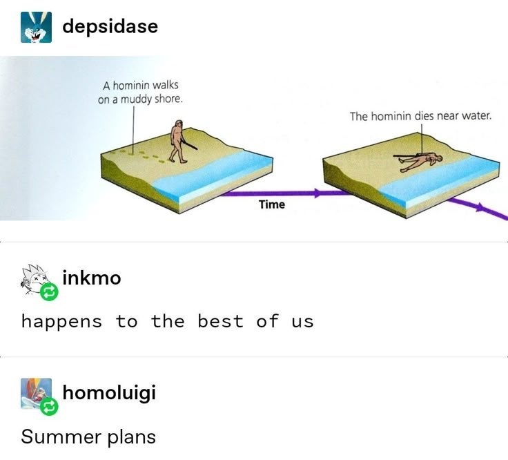 depsidase A hominin walks on a muddy shore. Time inkmo happens to the best of us homoluigi Summer plans The hominin dies near water.