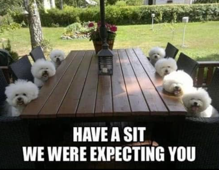 HAVE A SIT WE WERE EXPECTING YOU