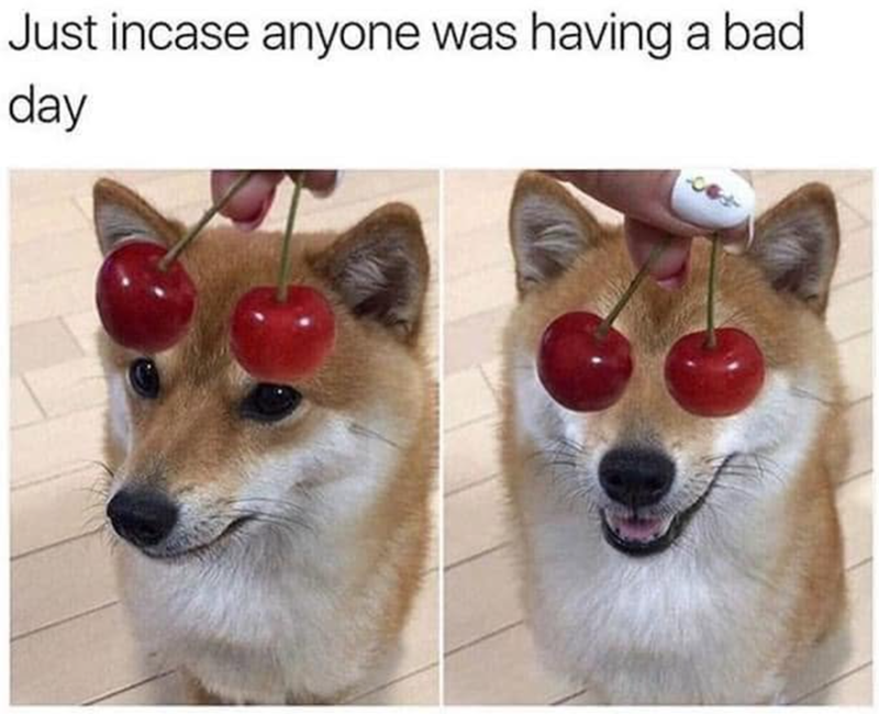 Just incase anyone was having a bad day