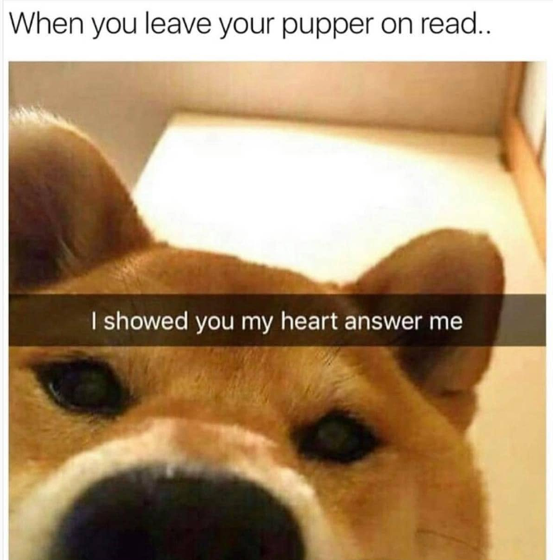 When you leave your pupper on read.. I showed you my heart answer me