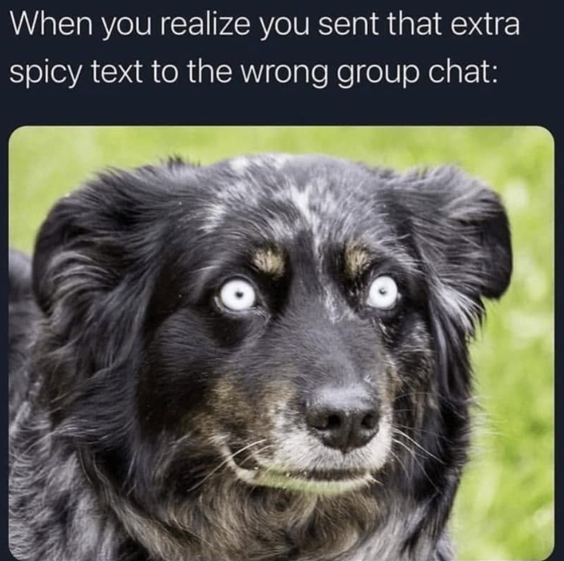 When you realize you sent that extra spicy text to the wrong group chat: