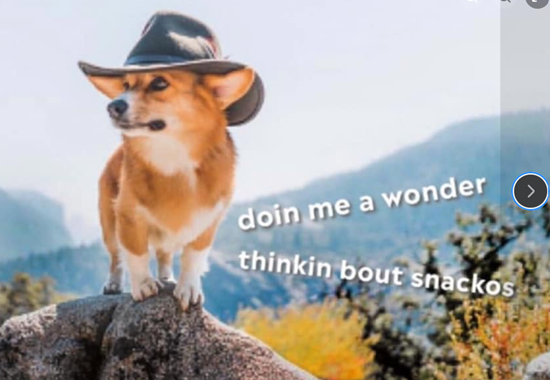 doin me a wonder thinkin bout snackos