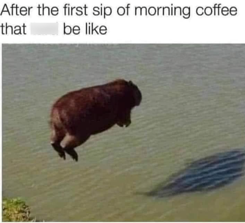 After the first sip of morning coffee that be like