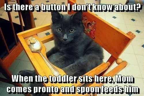 Is there a button I don't know about? When the toddler sits here Mom comes pronto and spoon feeds him