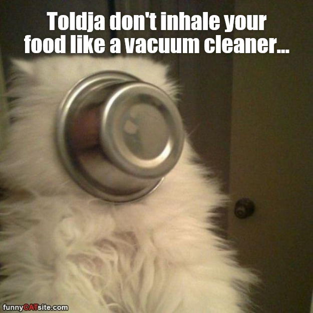 Toldja don't inhale your food like a vacuum cleaner... funnyCATsite.com