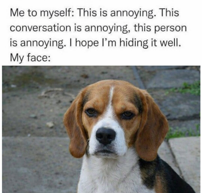Me to myself: This is annoying. This conversation is annoying, this person is annoying. I hope I'm hiding it well. My face: