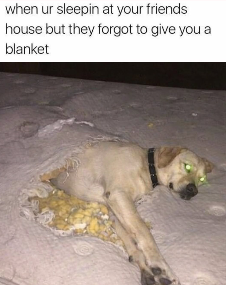 when ur sleepin at your friends house but they forgot to give you a blanket
