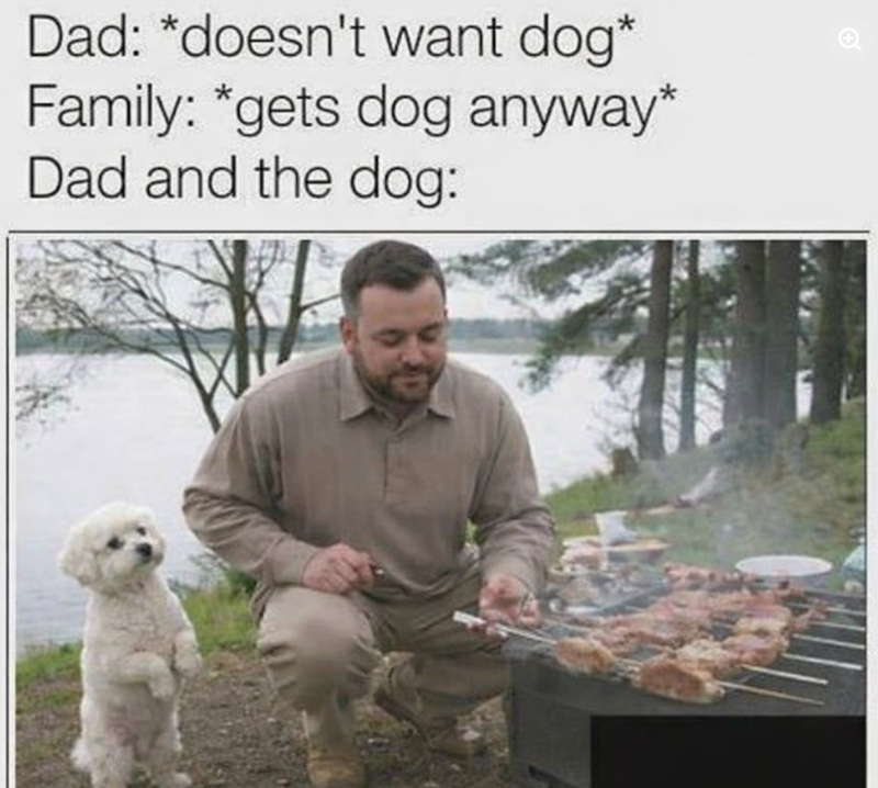 Dad: *doesn't want dog* Family: *gets dog anyway* Dad and the dog: