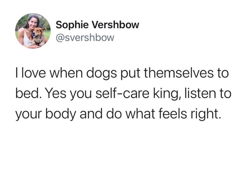 Sophie Vershbow @svershbow I love when dogs put themselves to bed. Yes you self-care king, listen to your body and do what feels right.