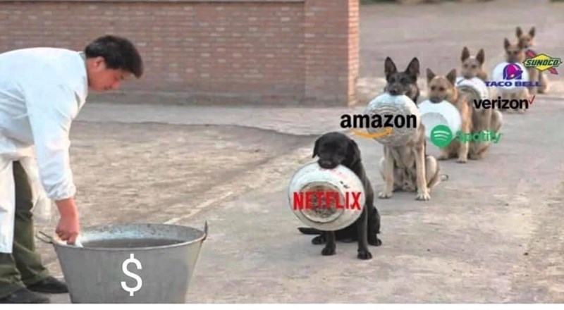 amazon SUNDCO TACO BELL verizon $ NEELIX