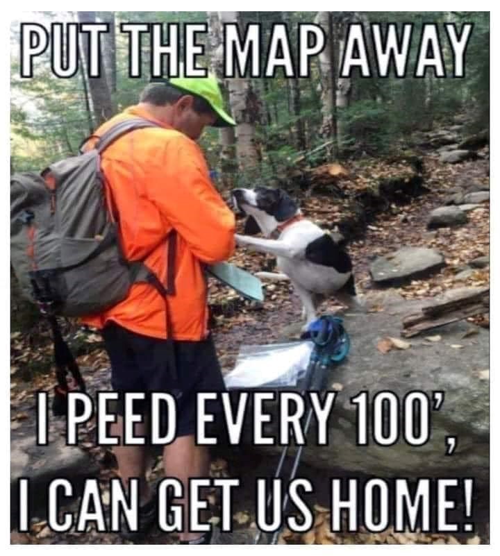 PUT THE MAP AWAY I PEED EVERY 100', I CAN GET US HOME!