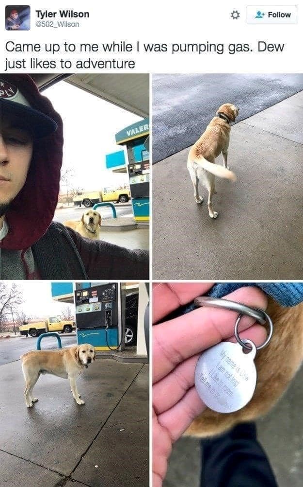 Tyler Wilson @502 Wilson +Follow Came up to me while I was pumping gas. Dew just likes to adventure VALER I am not lost My name is sa Tell me to 30 Like to roan