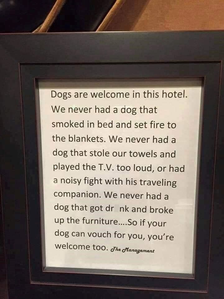 Dogs are welcome in this hotel. We never had a dog that smoked in bed and set fire to the blankets. We never had a dog that stole our towels and played the T.V. too loud, or had a noisy fight with his traveling companion. We never had a dog that got dr nk and broke up the furniture....So if your dog can vouch for you, you're welcome too. The Management