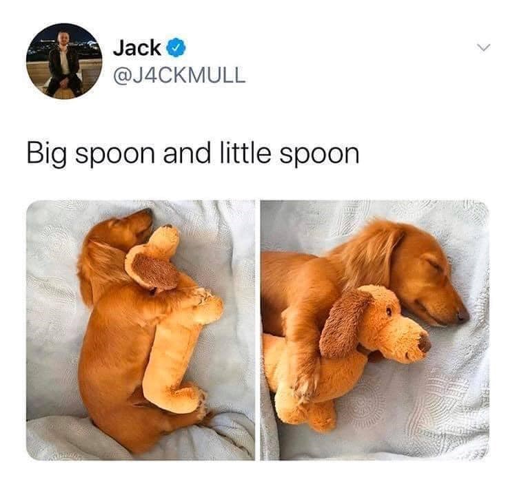 Jack @J4CKMULL Big spoon and little spoon