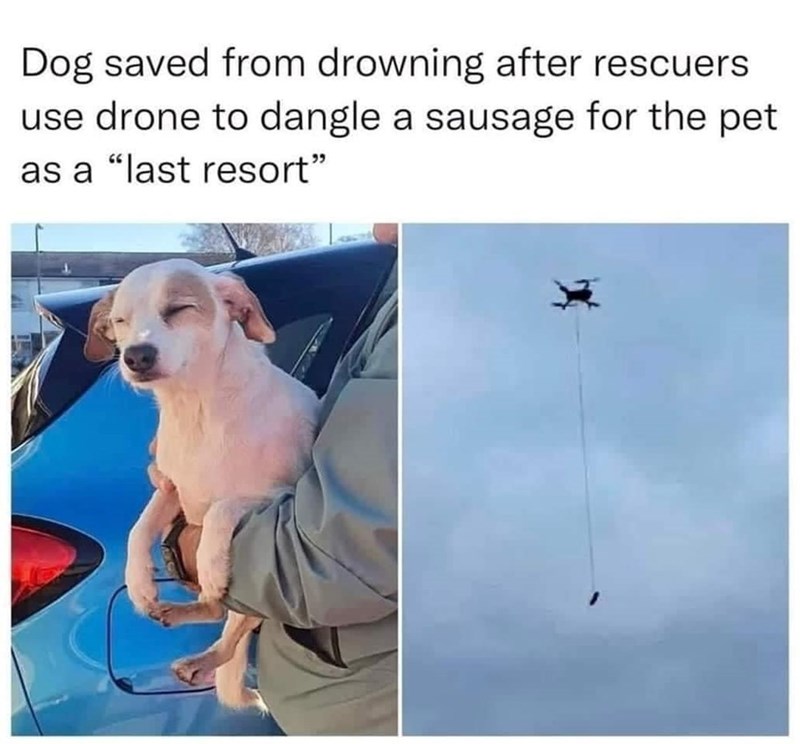 Dog saved from drowning after rescuers use drone to dangle a sausage for the pet as a "last resort"