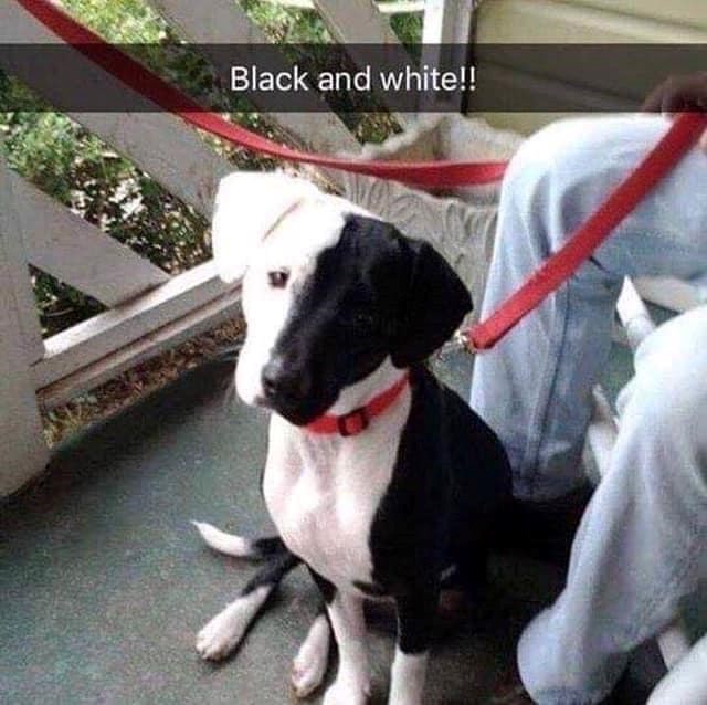 Black and white!!