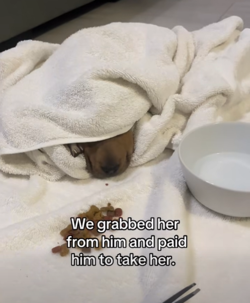 We grabbed her from him and paid him to take her.