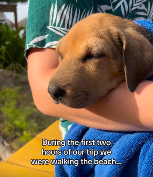 During the first two hours of our trip we were walking the beach...