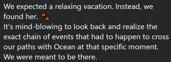 We expected a relaxing vacation. Instead, we found her. ** It's mind-blowing to look back and realize the exact chain of events that had to happen to cross our paths with Ocean at that specific moment. We were meant to be there.