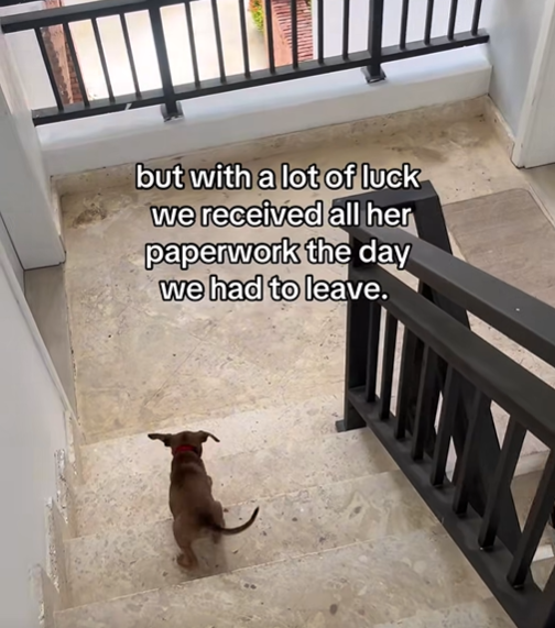 but with a lot of luck we received all her paperwork the day we had to leave.