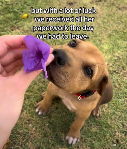 but with a lot of luck we received all her paperwork the day we had to leave.