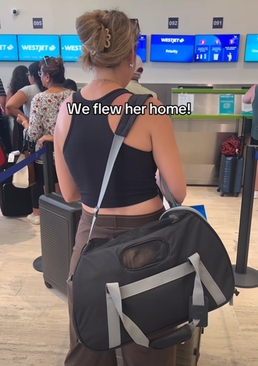095 092 091 ET WESTJET WEST WESTJET Priority We flew her home!!