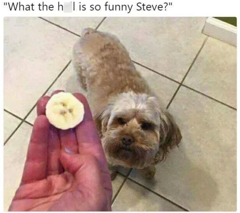 "What the h l is so funny Steve?"