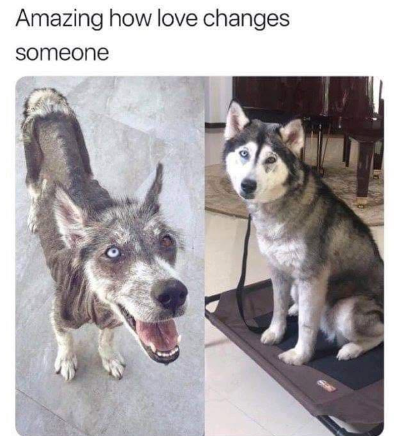 Amazing how love changes. someone