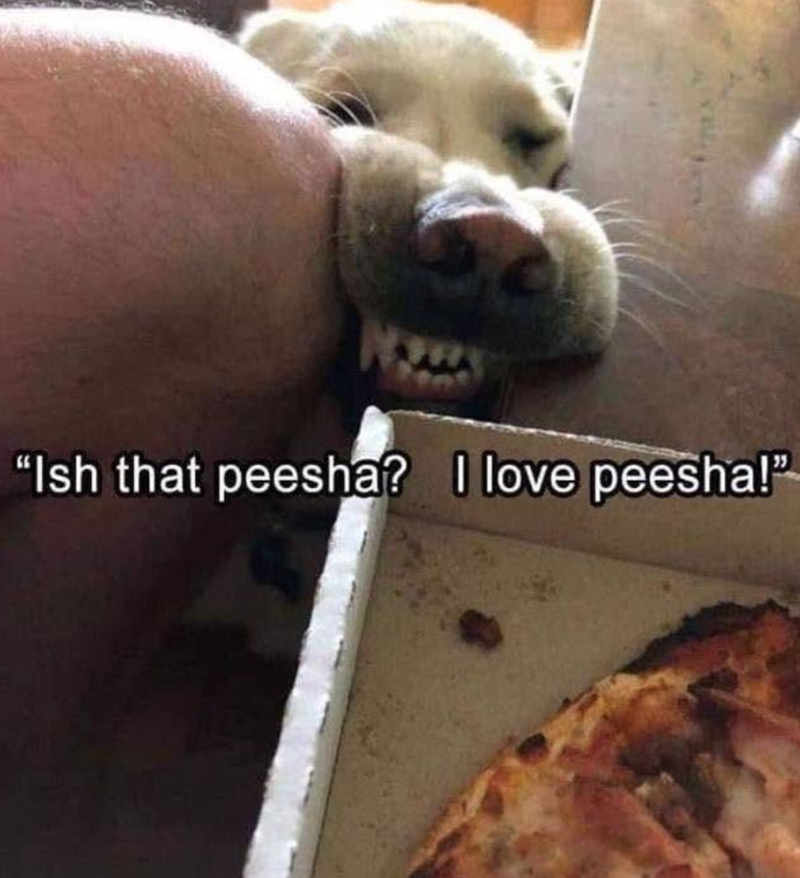 "Ish that peesha? I love peesha!"