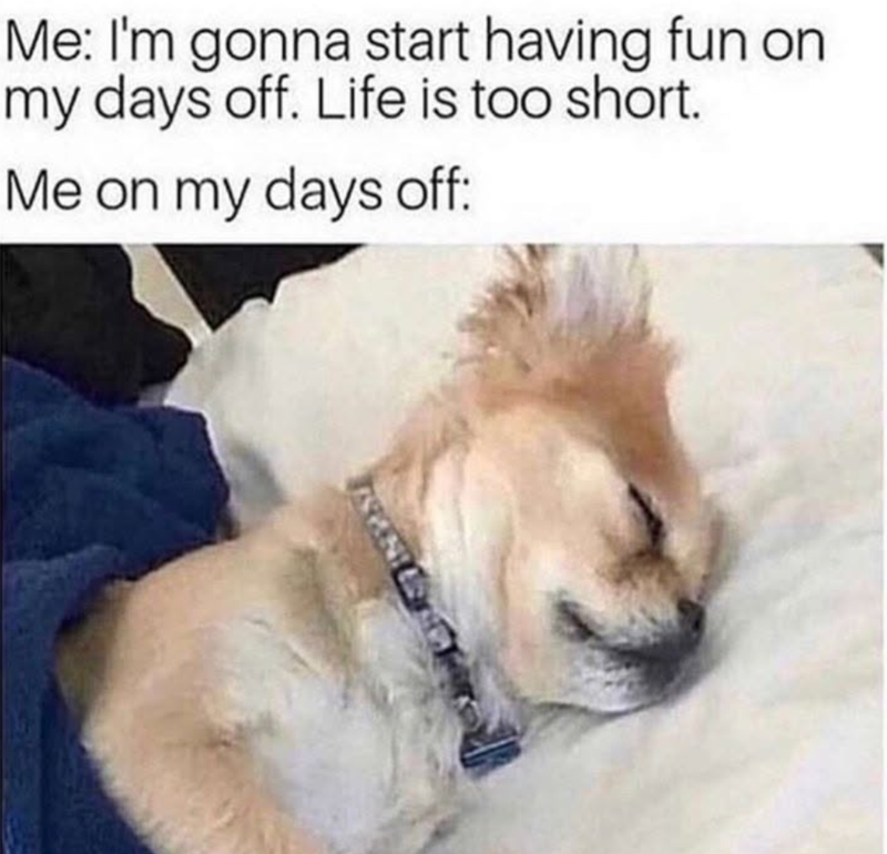 Me: I'm gonna start having fun on my days off. Life is too short. Me on my days off: