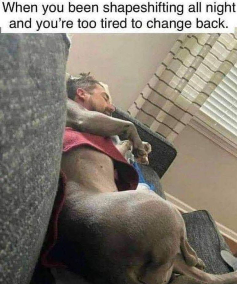 When you been shapeshifting all night and you're too tired to change back.