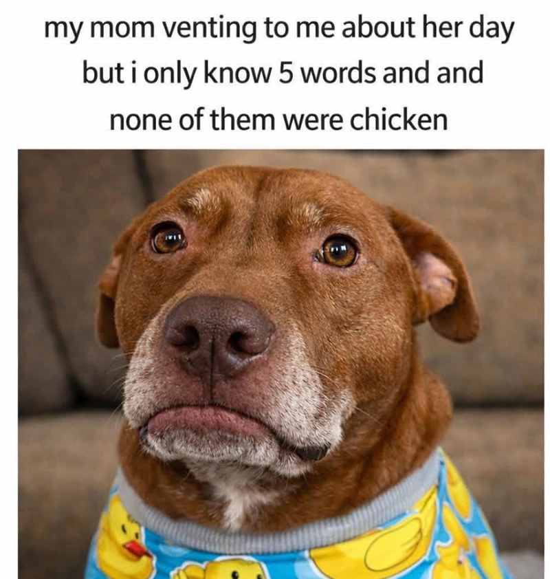 my mom venting to me about her day but i only know 5 words and and none of them were chicken