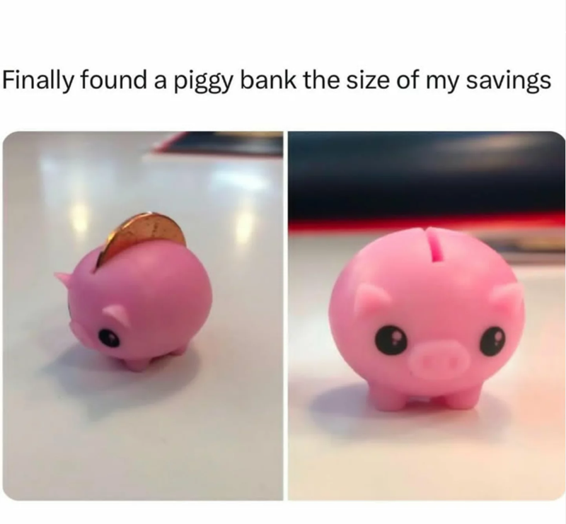 Finally found a piggy bank the size of my savings