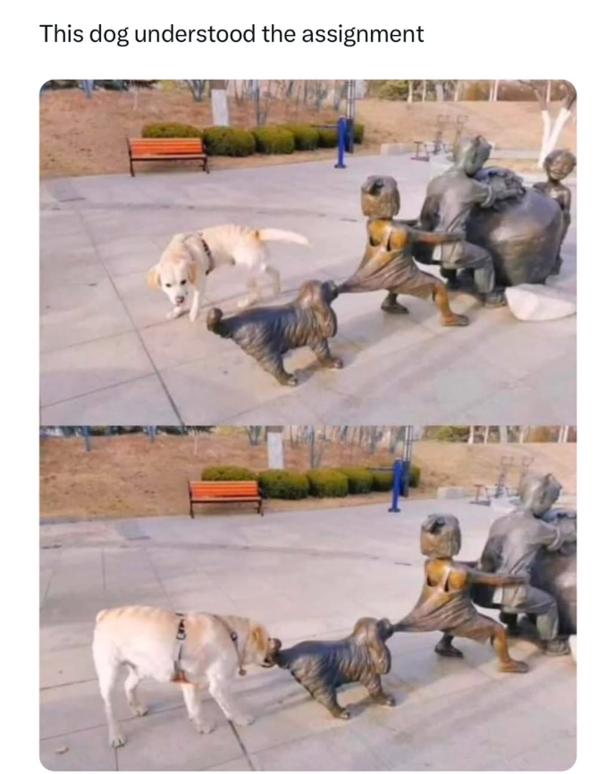 This dog understood the assignment