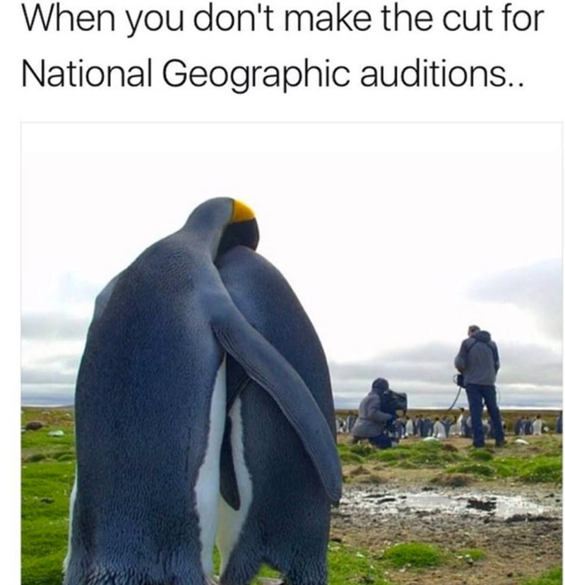 When you don't make the cut for National Geographic auditions..